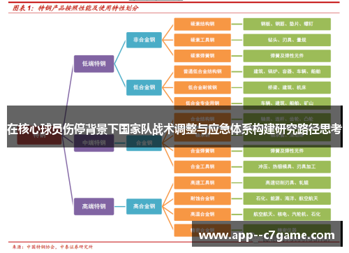 在核心球员伤停背景下国家队战术调整与应急体系构建研究路径思考